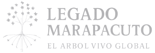 Legado Marapacuto | El Árbol Vivo Global
